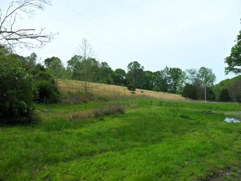 4160 Lem Davis Rd, Cunningham, TN 37052 photo 22