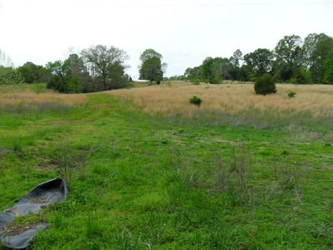 4160 Lem Davis Rd, Cunningham, TN 37052 photo 19