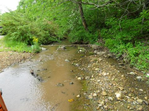 4160 Lem Davis Rd, Cunningham, TN 37052 photo 17