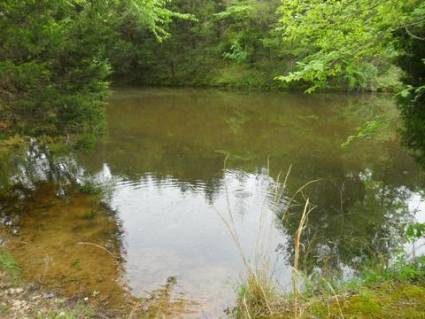 4160 Lem Davis Rd, Cunningham, TN 37052 photo 6