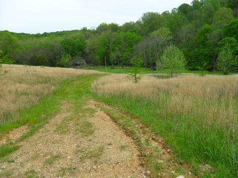 4160 Lem Davis Rd, Cunningham, TN 37052 photo 14