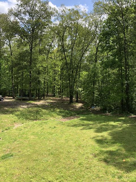 1069 Glendale Rd, White Bluff, TN 37187 photo 28