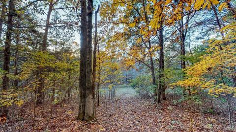 2861 Highway 70e, Dickson, TN 37055 photo 27