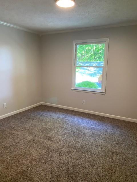 1429 Myatt Loop Rd, Burns, TN 37029 photo 10