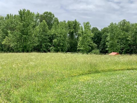 3 Gamble Rd, Five Points, TN 38457 photo 17