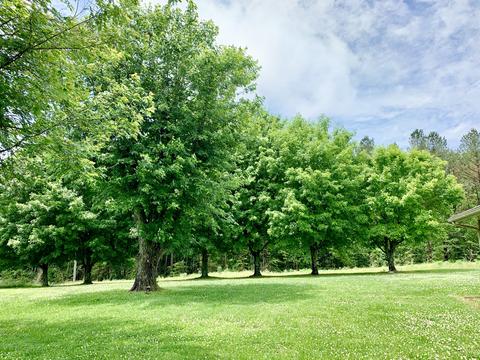 3 Gamble Rd, Five Points, TN 38457 photo 15