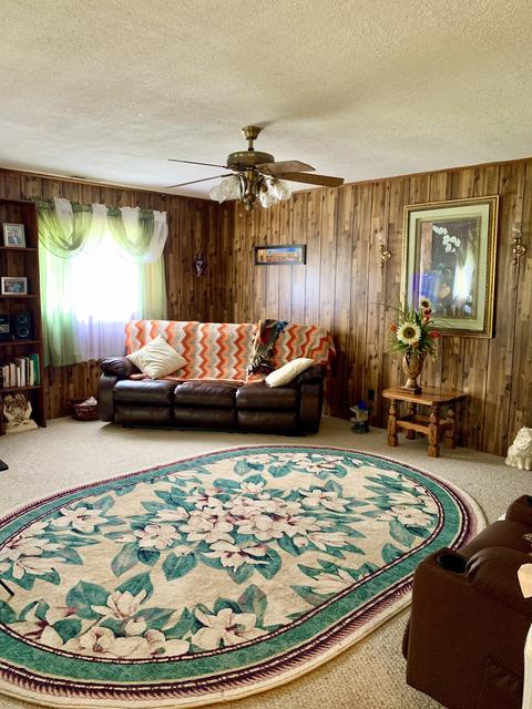 3 Gamble Rd, Five Points, TN 38457 photo 19