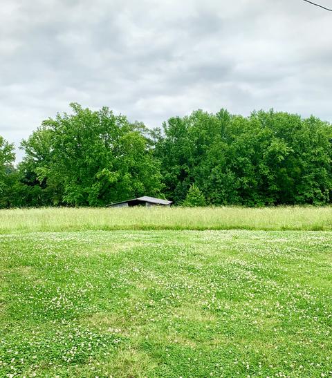 3 Gamble Rd, Five Points, TN 38457 photo 12