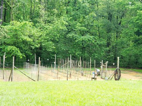 7735 Point Mason Rd, Big Sandy, TN 38221 photo 50