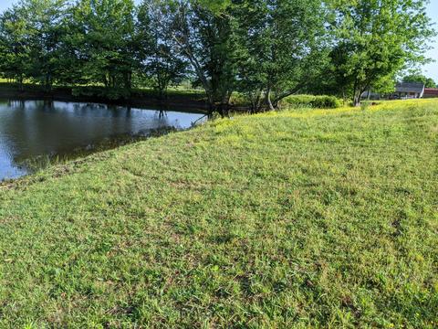507 Mcgowan Rd, Morrison, TN 37357 photo 3