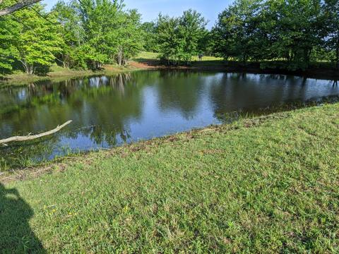 507 Mcgowan Rd, Morrison, TN 37357 photo 4