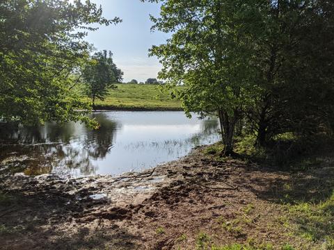 507 Mcgowan Rd, Morrison, TN 37357 photo 25