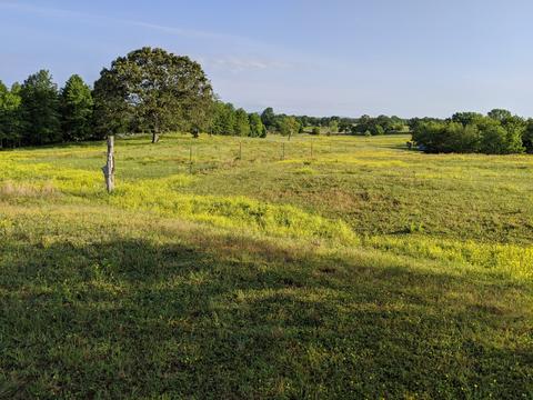 507 Mcgowan Rd, Morrison, TN 37357 photo 15
