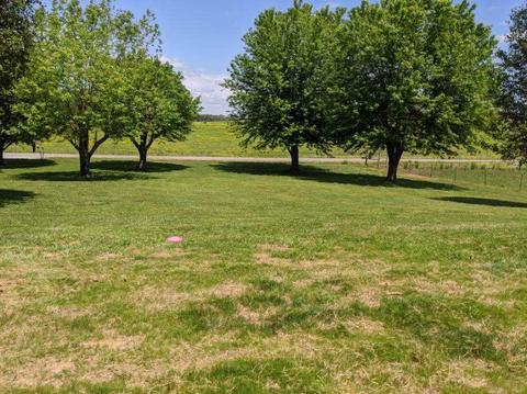 507 Mcgowan Rd, Morrison, TN 37357 photo 6