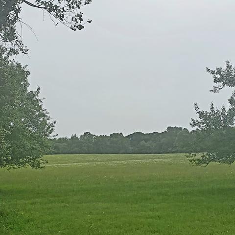 181 Sam Hollow Rd, Dickson, TN 37055 photo 14