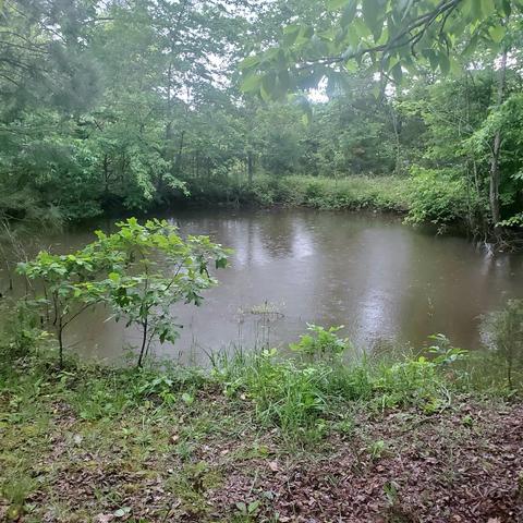 181 Sam Hollow Rd, Dickson, TN 37055 photo 13