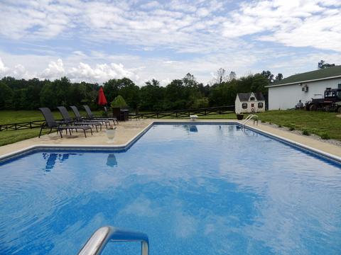 5691 Marion Rd, Cunningham, TN 37052 photo 8