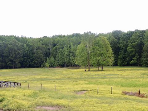 5691 Marion Rd, Cunningham, TN 37052 photo 15