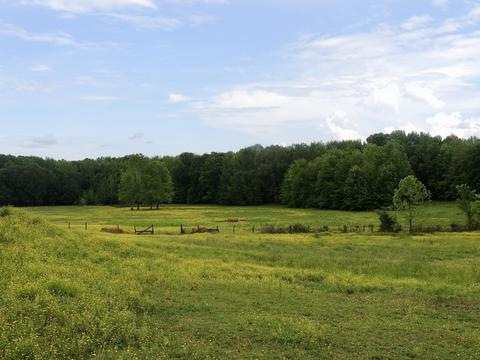 5691 Marion Rd, Cunningham, TN 37052 photo 13