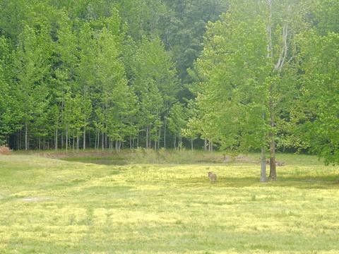 5691 Marion Rd, Cunningham, TN 37052 photo 16