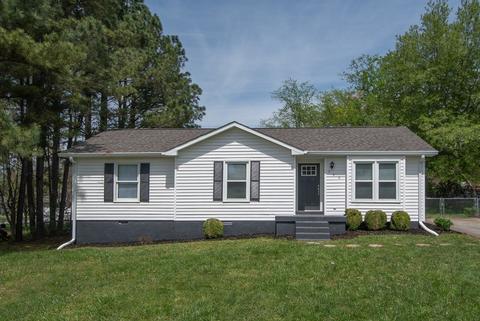 306 Lish Ln, Springfield, TN 37172 photo 1