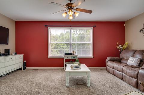 408 Billy Ln, Spring Hill, TN 37174 photo 14