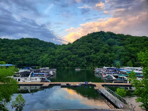 8590 Silver View Ln, Silver Point, TN 38582 photo 49
