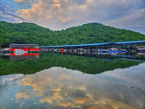 8590 Silver View Ln, Silver Point, TN 38582 photo 50