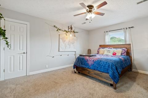 4126 Roy Cole Rd, Springfield, TN 37172 photo 33