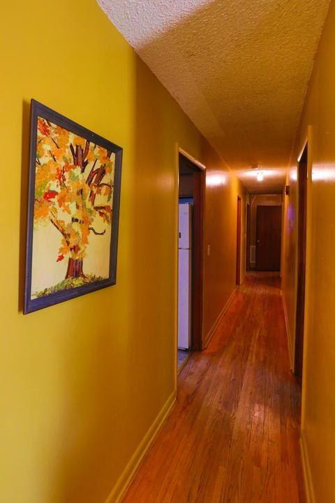 803 8th Ave E, Springfield, TN 37172 photo 5
