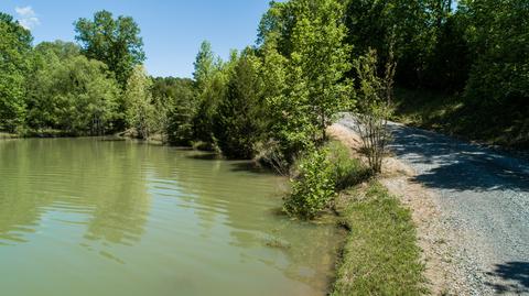 2253 Grays Bend Rd, Centerville, TN 37033 photo 12