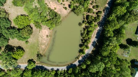 2253 Grays Bend Rd, Centerville, TN 37033 photo 13