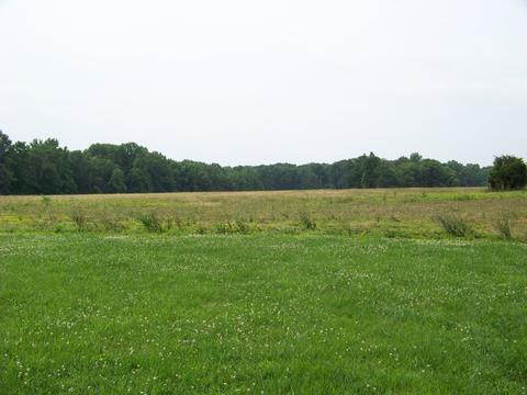 335 Five Points Rd, Leoma, TN 38468 photo 34