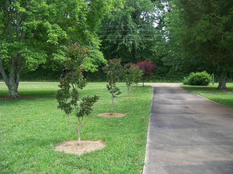 335 Five Points Rd, Leoma, TN 38468 photo 8