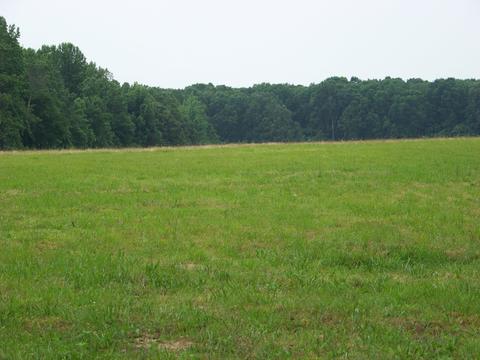 335 Five Points Rd, Leoma, TN 38468 photo 36