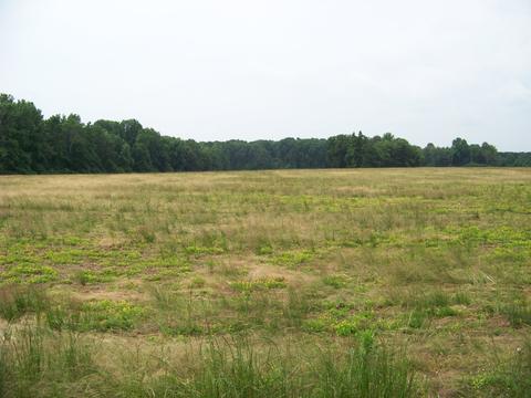 335 Five Points Rd, Leoma, TN 38468 photo 33