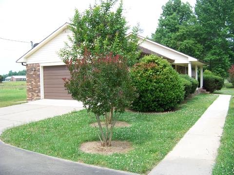 335 Five Points Rd, Leoma, TN 38468 photo 10