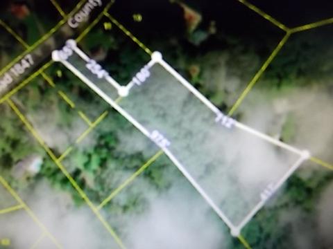 1435 White Bluff Rd, White Bluff, TN 37187 photo 4