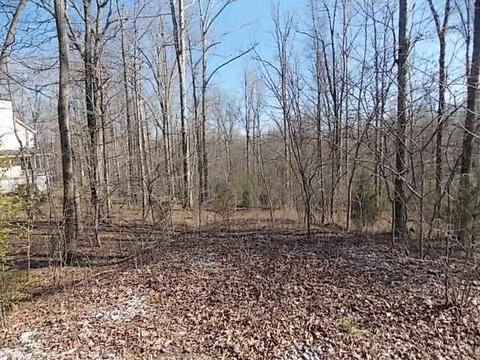 1435 White Bluff Rd, White Bluff, TN 37187 photo 7