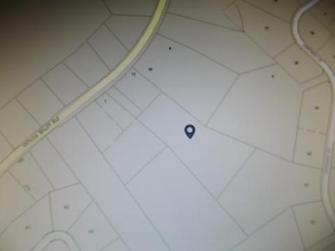 1435 White Bluff Rd, White Bluff, TN 37187 photo 5