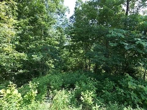 1435 White Bluff Rd, White Bluff, TN 37187 photo 1