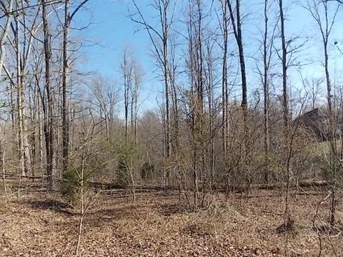 1435 White Bluff Rd, White Bluff, TN 37187 photo 6