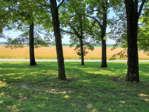 647 Carter Rd, Decherd, TN 37324 photo 9