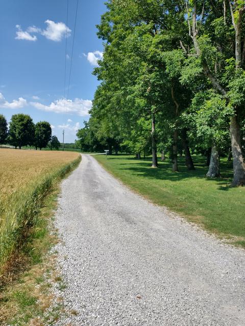 647 Carter Rd, Decherd, TN 37324 photo 8