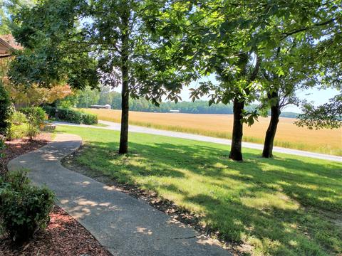 647 Carter Rd, Decherd, TN 37324 photo 10