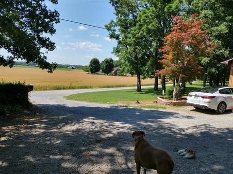 647 Carter Rd, Decherd, TN 37324 photo 7