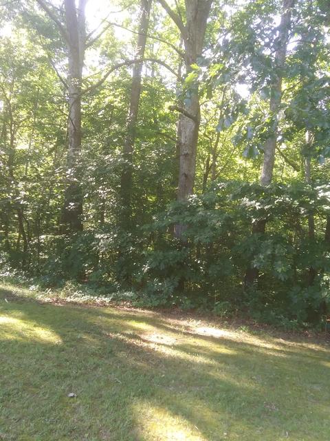 104 Willow Bend Rd, Dickson, TN 37055 photo 9