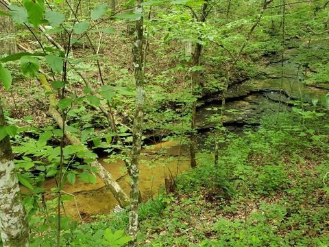 8422 Riley Lafever Rd, Baxter, TN 38544 photo 6