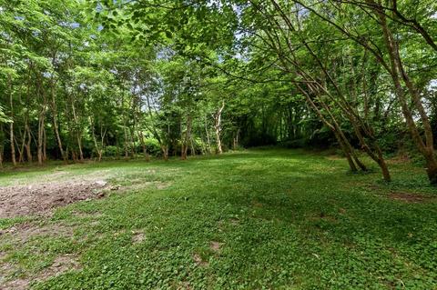219 E Main St, Dowelltown, TN 37059 photo 27