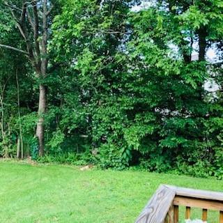 140 Cavalry Dr, Franklin, TN 37064 photo 15